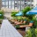 a patio with chairs and umbrellas